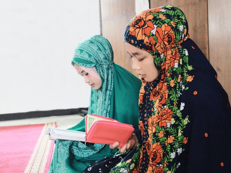 IMG_0844__1699263796_91231